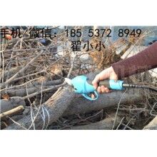 全自動修枝剪，高效又省力