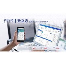 攪拌站系統(tǒng)軟件有哪些？思偉軟件砼行APP