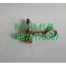 批發(fā)原裝正品攪拌機(jī)配件，三一JX3000潤滑油泵芯